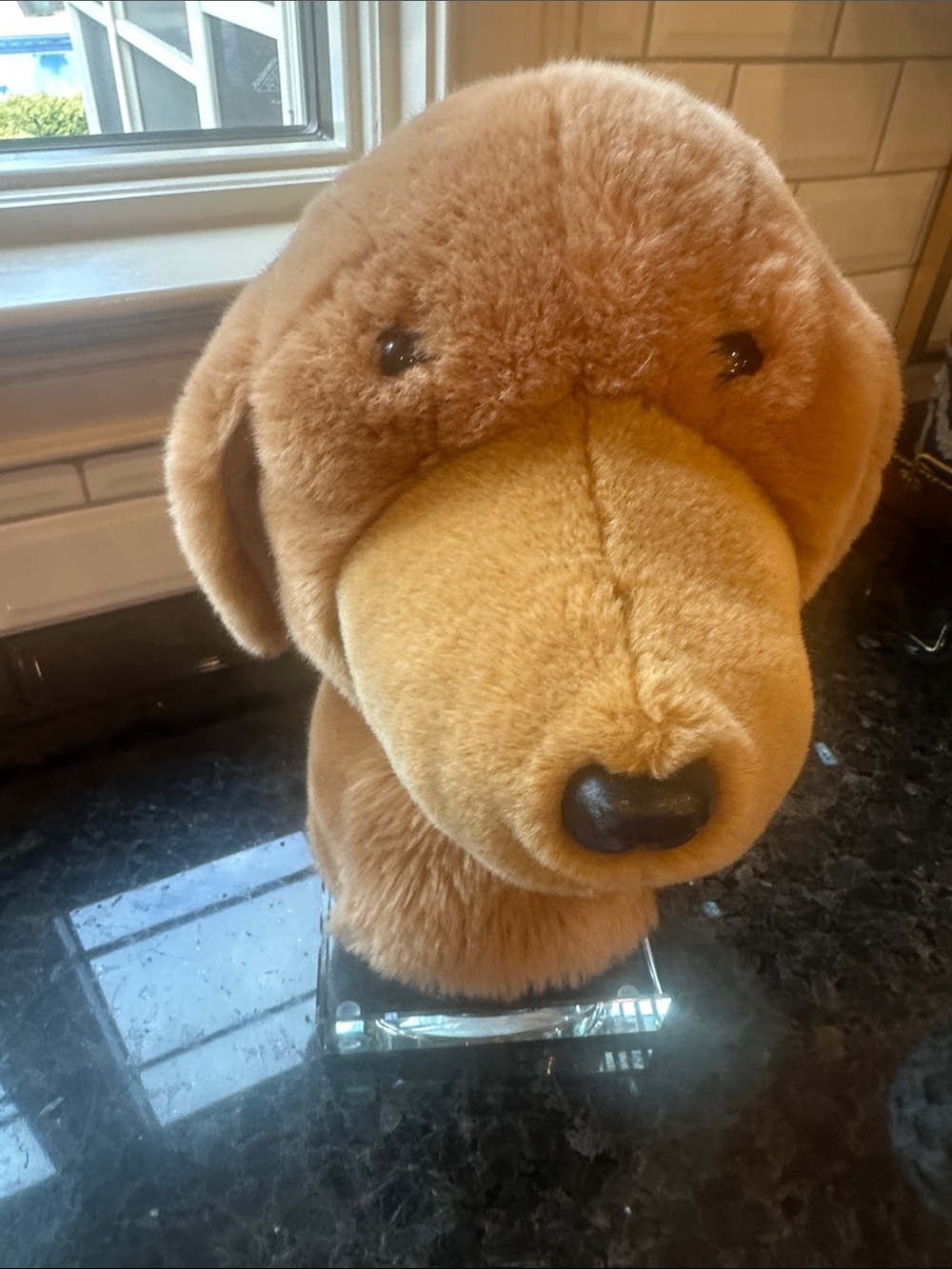 Dog Headcover
